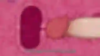 Kemonokko Tsuushin: The Animation 1