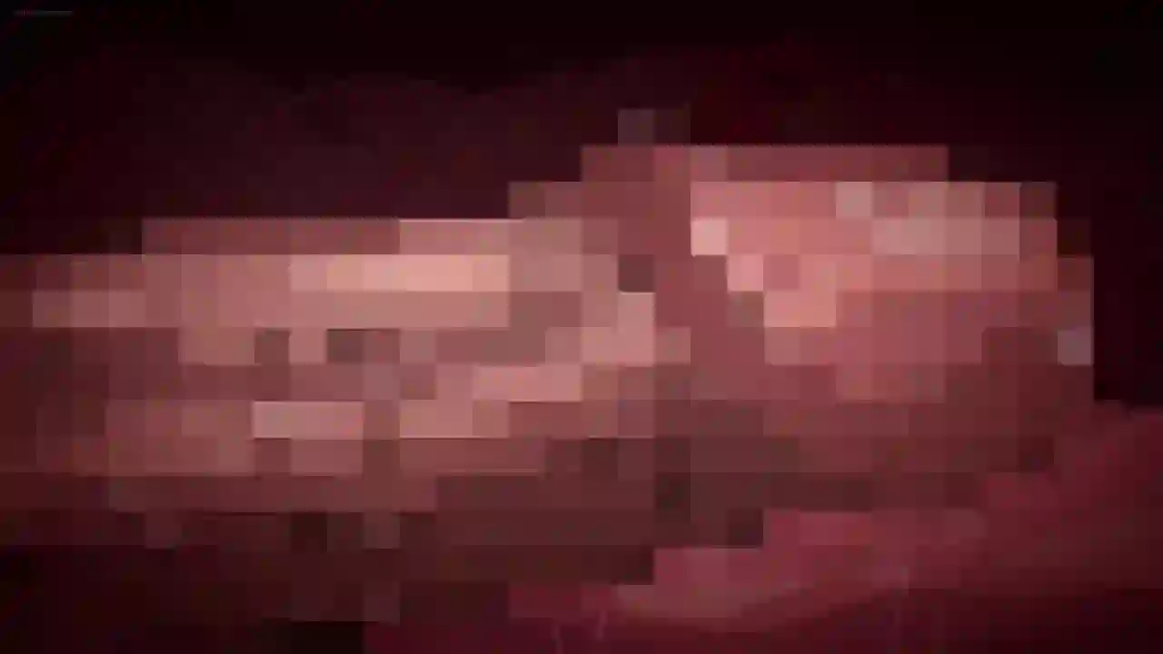 Aku no Onna Kanbu: Full Moon Night Returns 1 - Preview 4