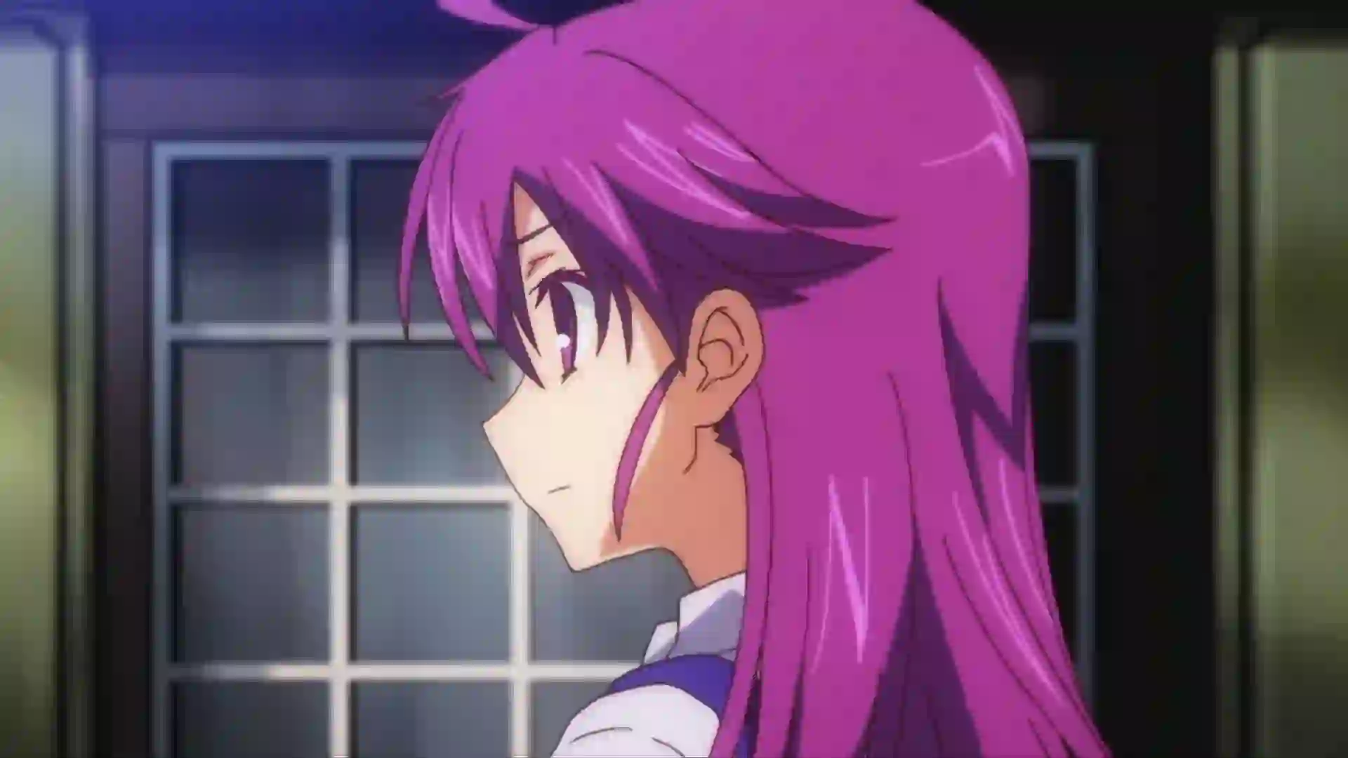 Rance 01: Hikari o Motomete The Animation 1 - Preview 8