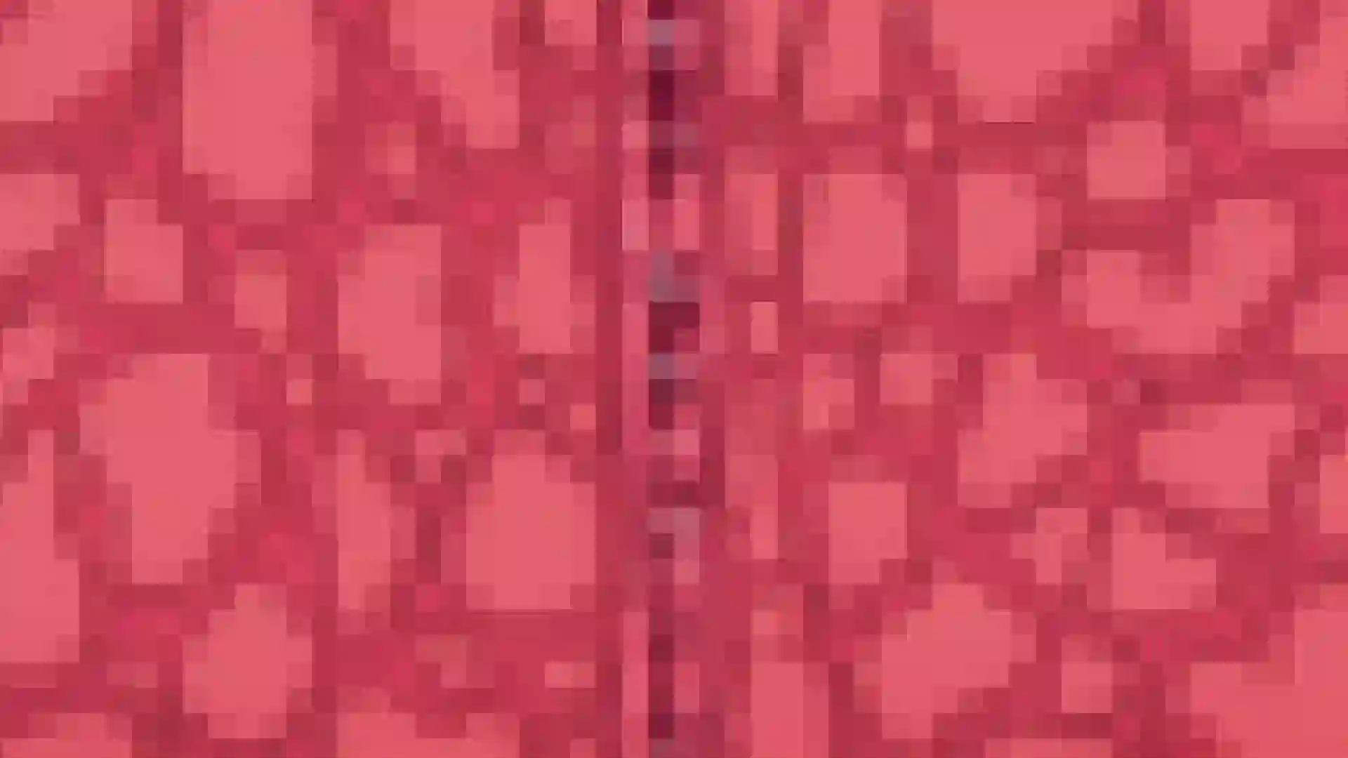 Rance 01: Hikari o Motomete The Animation 1 - Preview 22