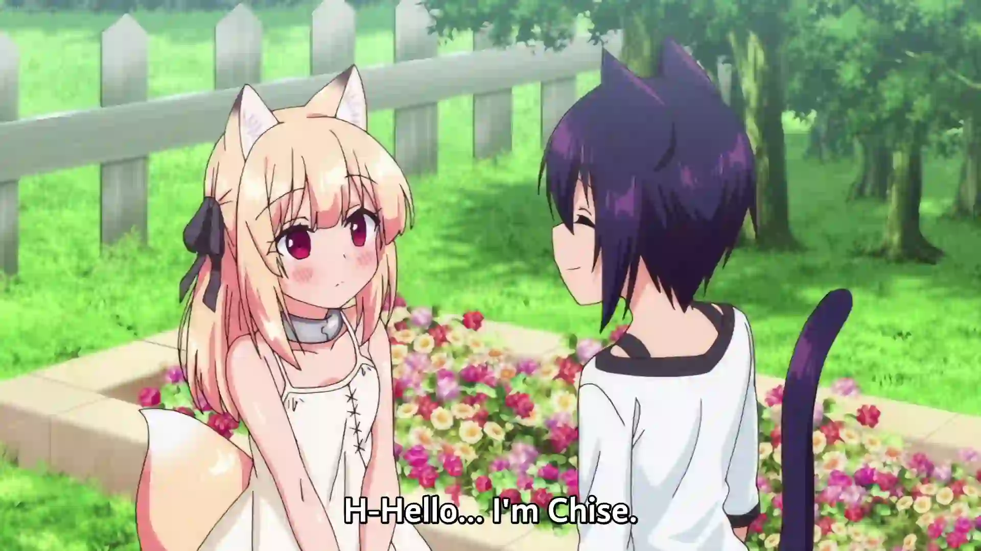 Boku no Risou no Isekai Seikatsu 2 - Preview 5