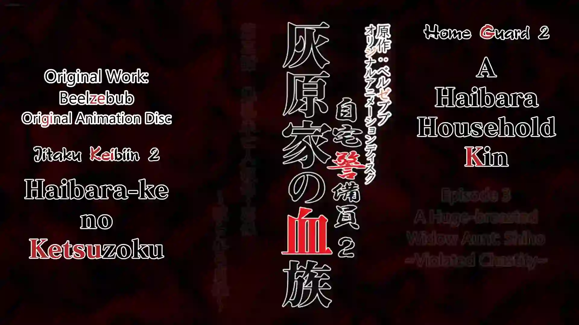 Jitaku Keibiin 2 Episode 3 - Preview 2